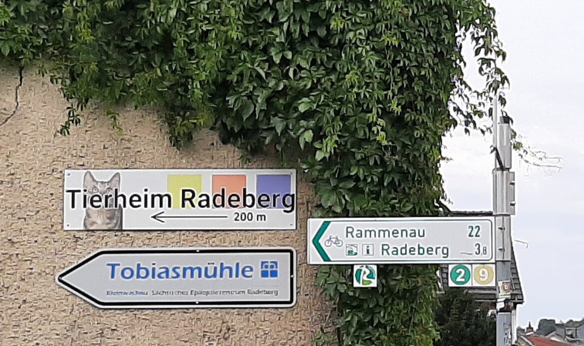 Wegweiser an einer Hauswand mit Hinweisschild zum Tierheim Radeberg (200 m nach links) sowie weiteren Richtungsschildern nach Rammenau und Radeberg.